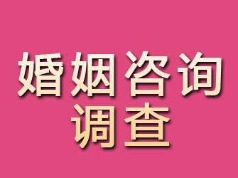 龙口婚姻咨询调查